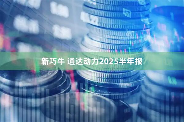 新巧牛 通达动力2025半年报