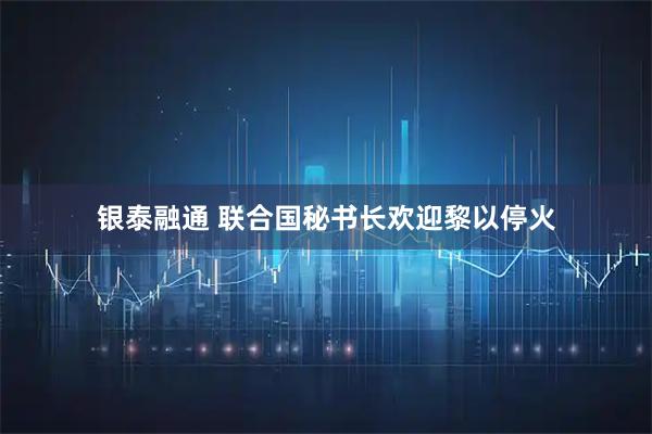 银泰融通 联合国秘书长欢迎黎以停火